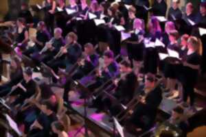 photo No Limit Orchestra