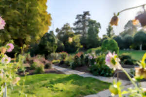 photo Visite guidée : Mimétisme et camouflage