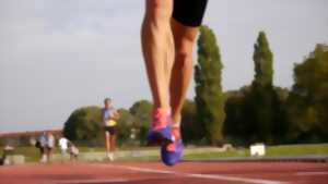 photo Courses de Morsbronn