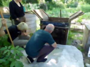 photo Atelier d'initiation au compostage et vermicompostage