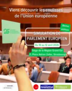 photo 8ème édition de la Simulation du Parlement européen
