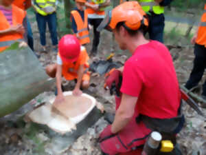 photo Dans la peau d’un bûcheron