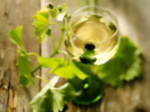 photo Marche Gourmande des Jeunes Agriculteurs