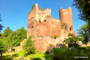 photo Club vosgien : Bernardswiller