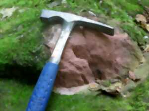 photo Visite guidée : le sentier géologique de Sentheim