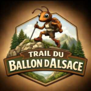 photo Trail du Ballon d'Alsace