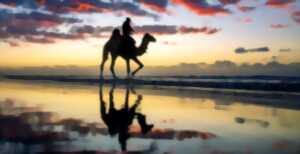 photo Israël / Palestine mandataire - une musique en commun