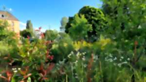 photo Entrons au jardin