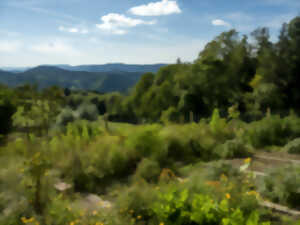 photo Sentiers Plaisir : Bien être et contemplation selon Hildegarde de Bingen