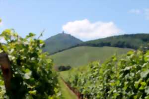 photo Escapade gourmande