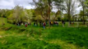 photo Chasse aux oeufs