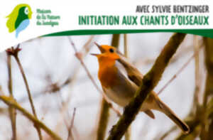 photo Initiation aux chants des oiseaux