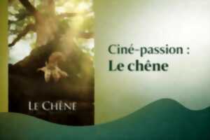 photo Ciné-passion : Le chêne