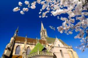 photo Concert : Feu sacré