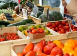 photo Schnoga Fritig Markt