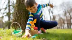 photo Chasse aux oeufs