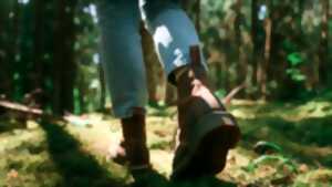 photo Marche gourmande des bunkers