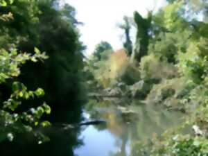 photo Visite guidée de la réserve naturelle de la forêt d'Offendorf : Initiation chants d'oiseaux