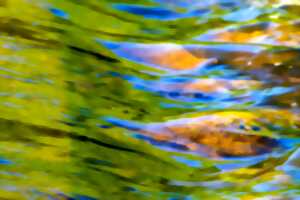 photo JEMA : Rencontre entre le feu, le bois et la pierre