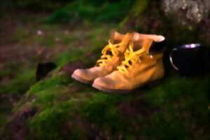 photo Berstett Rando : Vallon d'Eschwiller