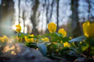 photo Assemblée Générale des 