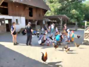 photo Chasse aux oeufs de Pâques