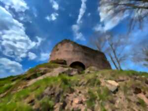 photo Sentiers Plaisir : Salm, un château vivant