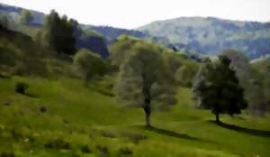 photo Sentiers plaisir : Autour du Chenot