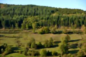 photo Sentiers Plaisir : Sur les hauteurs de La Broque