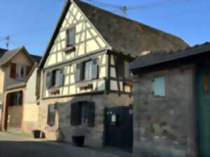 photo Visite Dachstein au fil des rues