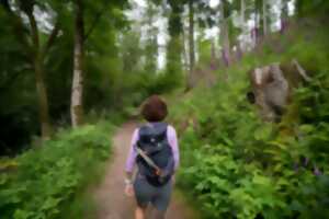 photo Journée Internationale des Forêts