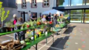 photo Troc de plantes