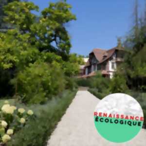 photo Atelier adulte : Fresque de la Renaissance écologique