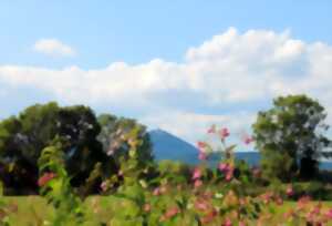 photo La nature en fête