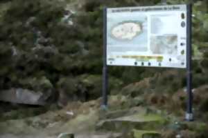 photo Club Vosgien : Le camp celtique de la Bure