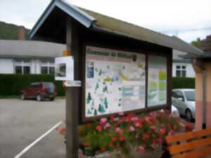 photo Club Vosgien : Le sentier du lièvre à Mittlach