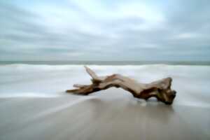 photo Exposition : Marie Bataille