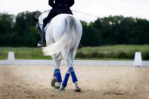 photo Concours de dressage