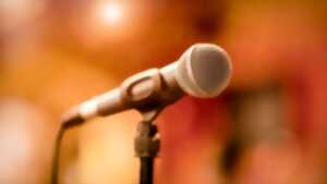 photo Concert : Lionel chante Johnny