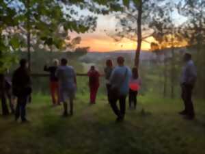photo Nuit européenne des musées : Visite guidée nocturne du carreau Clemenceau