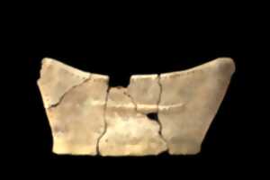 photo Des mammouths sous l'autoroute