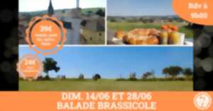 photo Balade brassicole