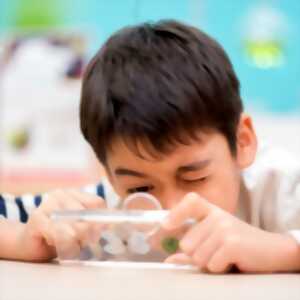 photo Drôles de petites bêtes