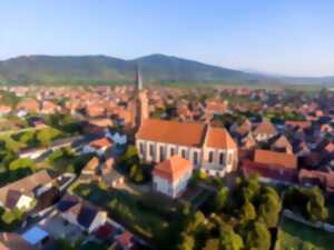 photo Concert : Murmurations