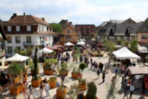 photo Erstein, un parfum de printemps