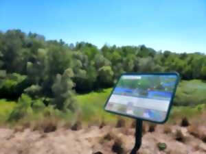 photo Visite guidée la biodiversité de la Réserve naturelle nationale de l’île de Rhinau