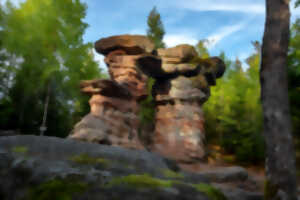 photo Sentiers Plaisir : Château du Petit Katzenberg