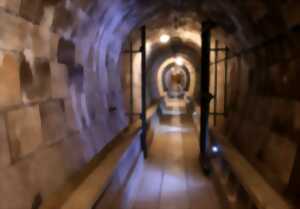 photo Visite commentée du Fort de Mutzig