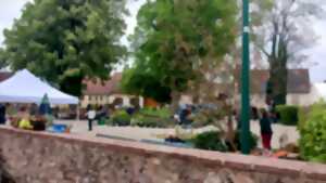 photo Foire aux Plantes