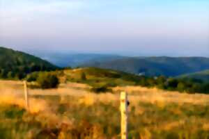photo Sentiers Plaisir : Sauvegardez nous de la lumière